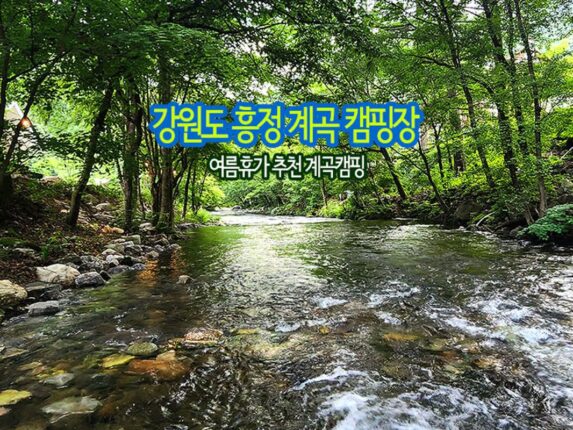 강원도 흥정 계곡 캠핑장 여름휴가 추천 계곡캠핑
