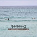 제주해수욕장 중문 색달해수욕장 중문관광단지 볼거리