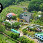 경북 축제 예천 곤충 축제 일정 프로그램 공연 라인업 주차장