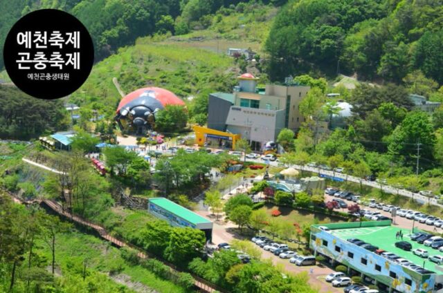 경북 축제 예천 곤충 축제 일정 프로그램 공연 라인업 주차장