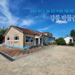 강릉 박물관 디자인 씽킹 뮤지엄 강릉 아이와 가볼 만한 곳