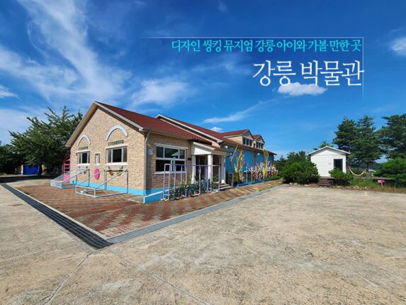 강릉 박물관 디자인 씽킹 뮤지엄 강릉 아이와 가볼 만한 곳