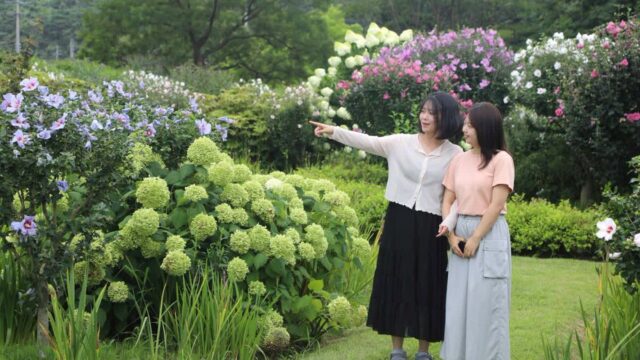 비밀 공간 공개 ‘천리포행 무궁화호’ 축제에 눈길이 쏠리는 이유