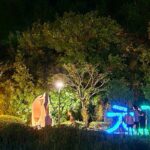 강원도 여행지 추천 야경 명소 동해 추암해수욕장 조각공원