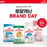 로얄캐닌, ‘세계 고양이의 날’ 맞이 프로모션 진행…’전 제품 최대 33% 할인’