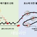 미생물 효소로 ‘폴리에틸렌’ 생분해…KIST “플라스틱 순환경제 실현 기대”