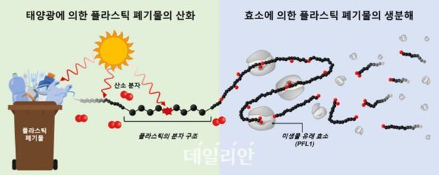 미생물 효소로 ‘폴리에틸렌’ 생분해…KIST “플라스틱 순환경제 실현 기대”