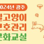 ‘길냥이 돌봄법 배워요!’ 2024 길고양이 보호관리 문화교실 온·오프라인 참가자 모집
