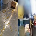 절반 마신 1500원짜리 커피 환불 요구한 여성 손님… 거절당하자 음료 담긴 컵 집어던져 (영상)