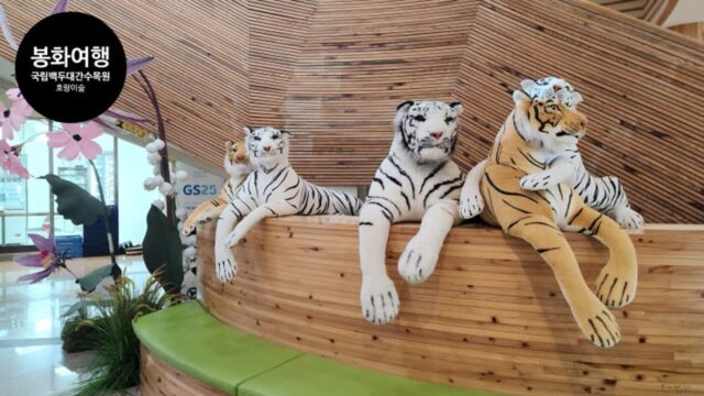 산림청 꼭 가봐야 할 수목원 10선 봉화 국립백두대간수목원