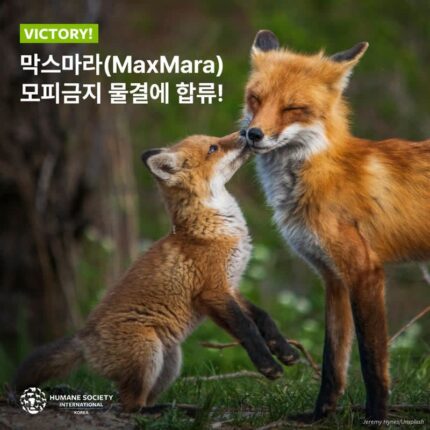 막스마라, 모피 금지 대열에 합류… ‘지속 가능한 패션의 새로운 기준’