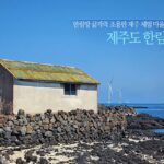 제주도 한림 한림항 끝자락 조용한 제주 체험 마을