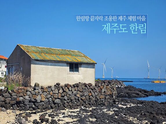 제주도 한림 한림항 끝자락 조용한 제주 체험 마을