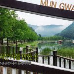 괴산 가볼 만한 곳 괴산 문광저수지 은행나무길