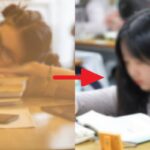 수능 앞둔 고3 학생이라면 점심 먹고 ‘20분’ 동안 낮잠 자야 하는 이유 5