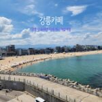 강릉카페 강릉 안목해변 카페거리 여름여행