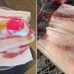 ‘비계 삼겹살’ 논란에 이어 이번에는 ‘가짜 제주산 돼지고기’… 손님들 속여 판 제주 식당들