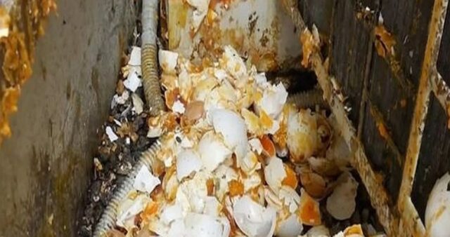 “4년간 에어컨 실외기에 매일 ‘날계란’ 투척하는 이웃, CCTV 영상에도 발뺌합니다”