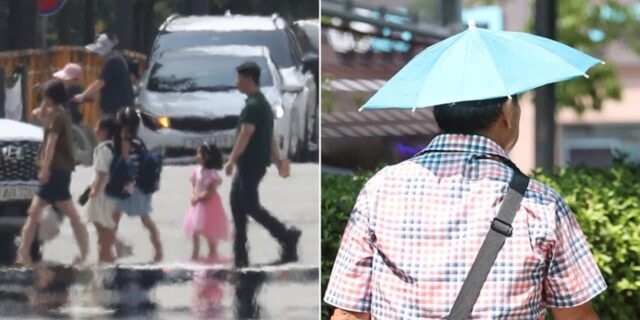 한국서 가장 더운 도시, 대구 아녔다… 체감온도 가장 높은 도시는 ‘이곳’