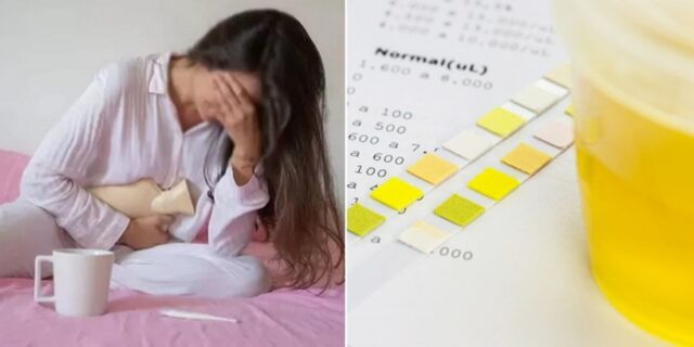 여학생 ‘생리공결’시 소변검사 제출하라는 서울예대… “인권 침해 vs 악용 많아”