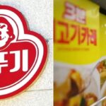 ‘카레·케첩·파스타 소스까지 올라’… 오뚜기, 제품 24종 가격 최대 15% 인상