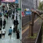 ‘광복절 연휴’에 일본 여행 계획한 사람들 비상… 태풍 소식에 난리난 근황