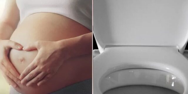 출산 후 아기 변기 빠뜨려 살해하고 영화 보러 간 20대 여성…징역 20년 구형