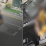 편의점에 쓰레기 ‘한 무더기’ 버리고 간 女 운전자… 따지던 점주에게 들려온 ‘황당한’ 소식
