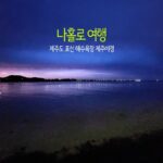 나 홀로 여행 제주도 표선 해수욕장 제주 야경