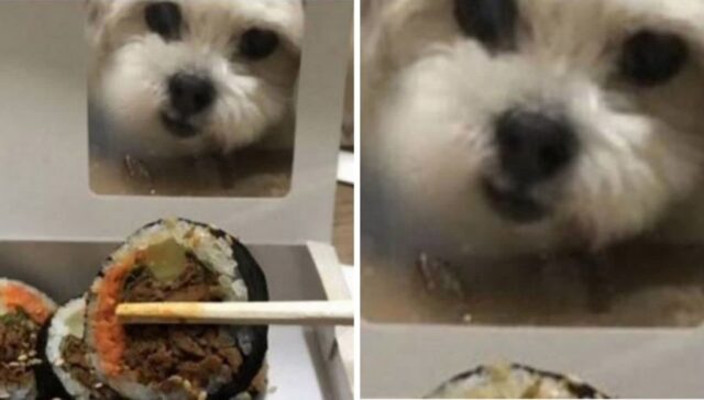 바르다 김선생 김밥 먹고 “제발 포장지 좀 바꿔달라”며 애타게 호소한 ‘귀여운 이유’