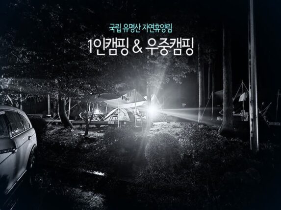 국립 유명산 자연휴양림 1인캠핑 & 우중캠핑