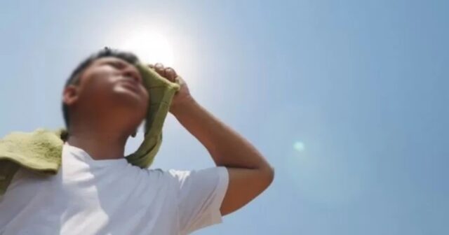 예산서 40대 외국인 온열질환으로 사망 …충남서만 3번째