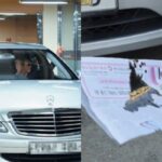 “이런 차 절대 사지 마세요”… 40년 경력 딜러가 알려주는 중고차 고르는 꿀팁 6