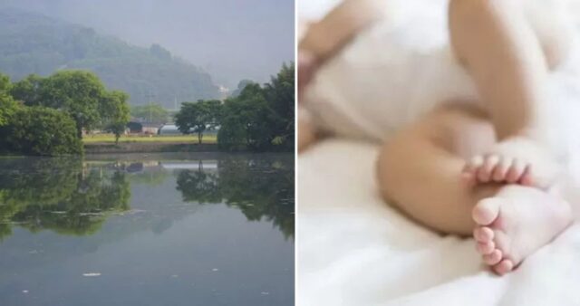 “겁나서 버렸다”… 세종시 저수지에 탯줄 달린 신생아 버린 범인은 20대 엄마였다