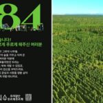 나무 심어 가꾼 숲만 ‘여의도 56배’ 크기… 유한킴벌리의 ‘우리강산 푸르게 푸르게’ 40년