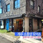 제주 소품샵 모이소 풍성한 제주공항근처 소품샵