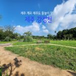 제주계곡 제주도 물놀이 장소 제주 강정천 상생의정원