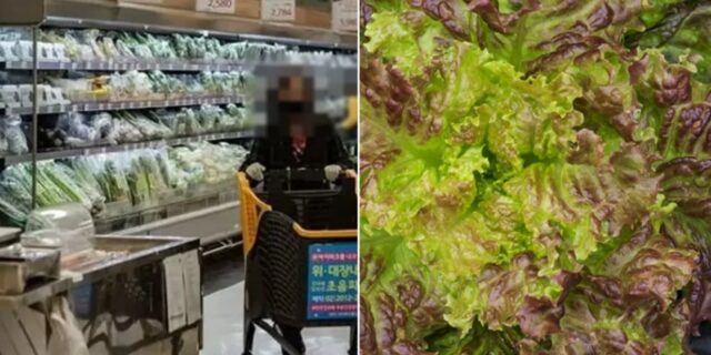 “자기야, 쌈 없이 고기만 먹자”… 상추 사려던 사람들 포기하게 만드는 ‘채소 물가’ 상황