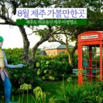 8월 제주 가볼만한곳 제주도 허브동산 제주 야경명소