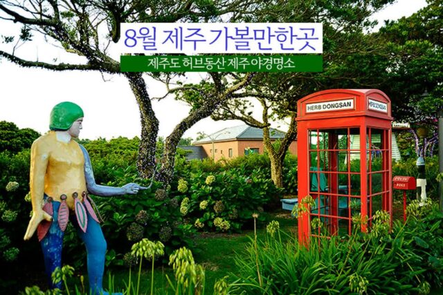 8월 제주 가볼만한곳 제주도 허브동산 제주 야경명소