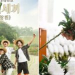 ‘삼시세끼·신서유기’ 연출한 예능PD, 야근 후 퇴근길 교통사고로 사망… 첫 아이 출산 앞두고 있었다