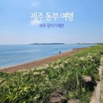 제주 동부 여행 제주 광치기 해변