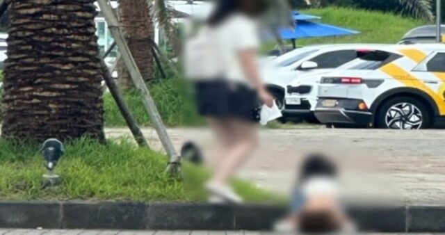 중국인 관광객이 또… 제주 야외주차장에서 바지 내리고 용변 보는 아이, 보호자는 휴지 들고 기다려
