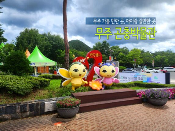 무주 가볼 만한 곳 아이랑 갈만한 곳 무주 곤충박물관