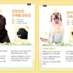 관세청, “리트리버 훈련견 6마리의 새로운 가족을 찾아요!”