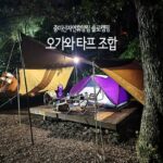 중미산자연휴양림 솔로 캠핑 장소 오가와 타프 조합