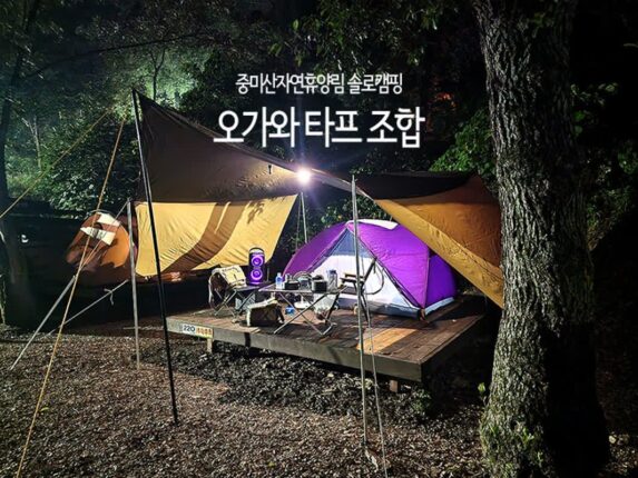 중미산자연휴양림 솔로 캠핑 장소 오가와 타프 조합