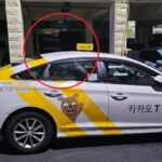“니 땅 아니면 뭐라 하지마”… 빌라 출입로에 ‘길막’ 주차한 택시 (사진)