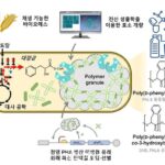 KAIST, 플라스틱 대체 가능한 방향족 폴리에스터 증산 전략 기술 개발