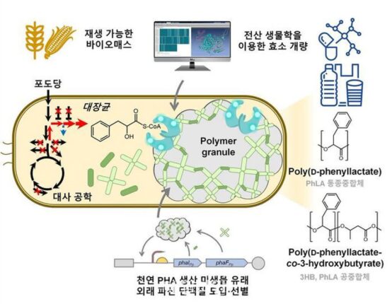 KAIST, 플라스틱 대체 가능한 방향족 폴리에스터 증산 전략 기술 개발